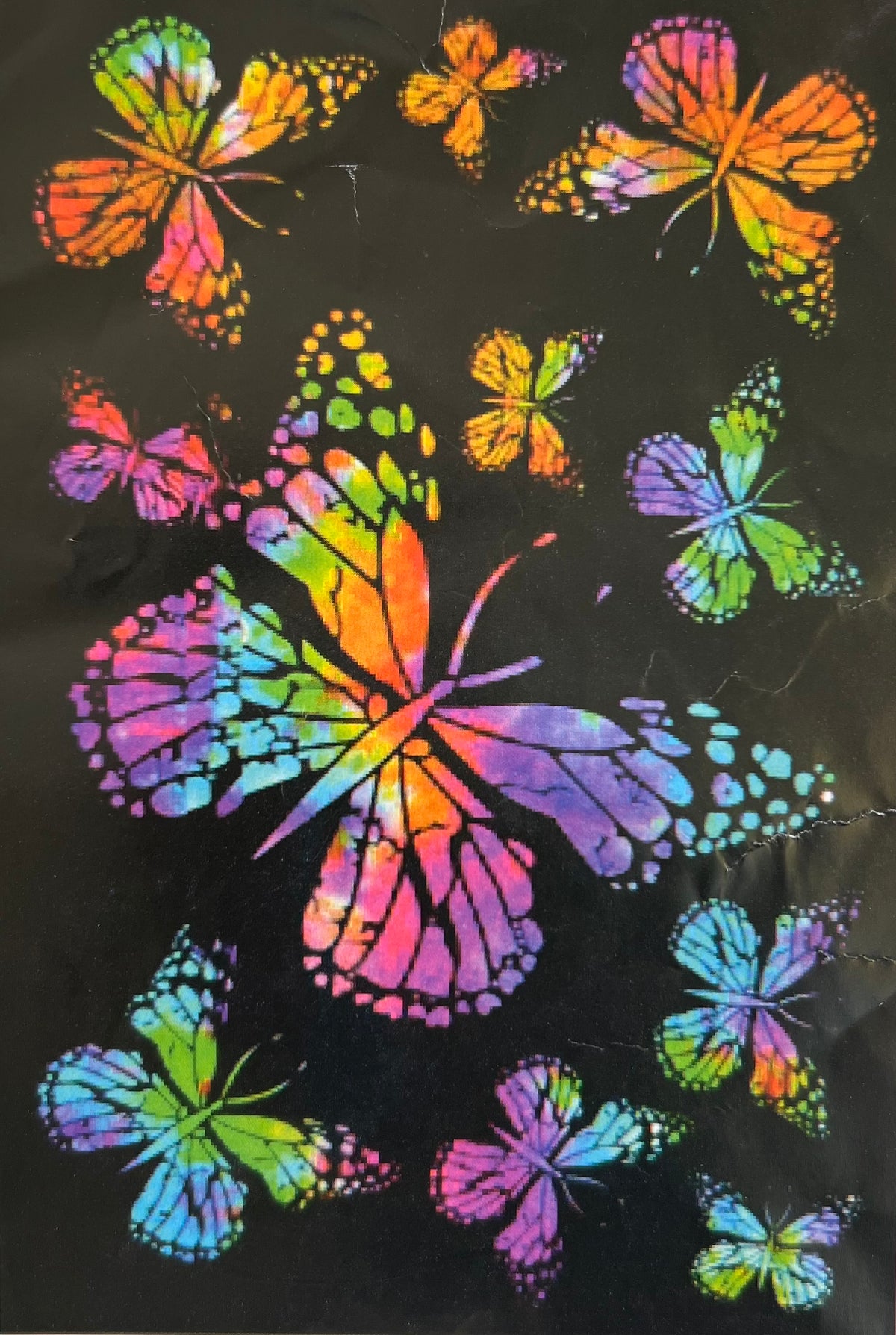 Giant Vibrant Butterfly Tapestry